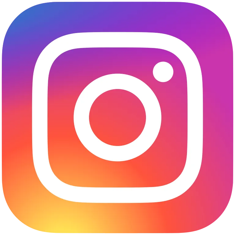 instagram video downloader